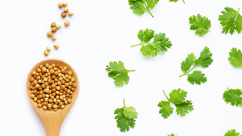 Coriander Seeds Nutrition Facts and Health Benefits