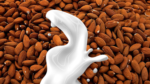 Almond With Milk Benefits – Everything You Need to Know