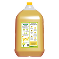 Cold Pressed Sunflower Oil - 24mantra Organic