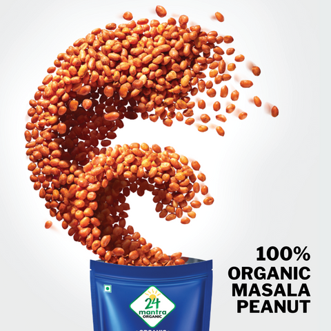 Organic Masala Peanut - 24mantra Organic