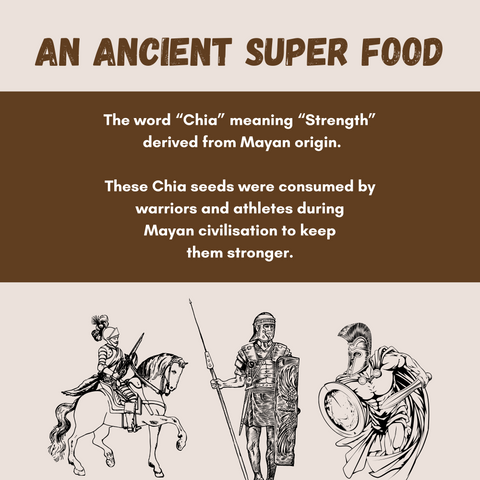 Organic Chia Seed - 24mantra Organic