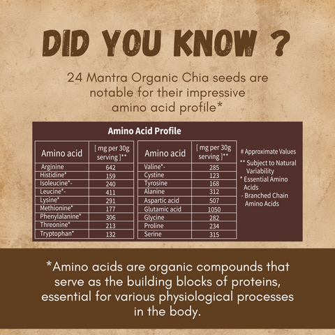 Organic Chia Seed - 24mantra Organic