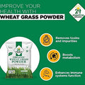 Organic Wheat Grass Powder - 24mantra Organic